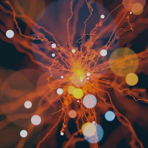 AI (1)