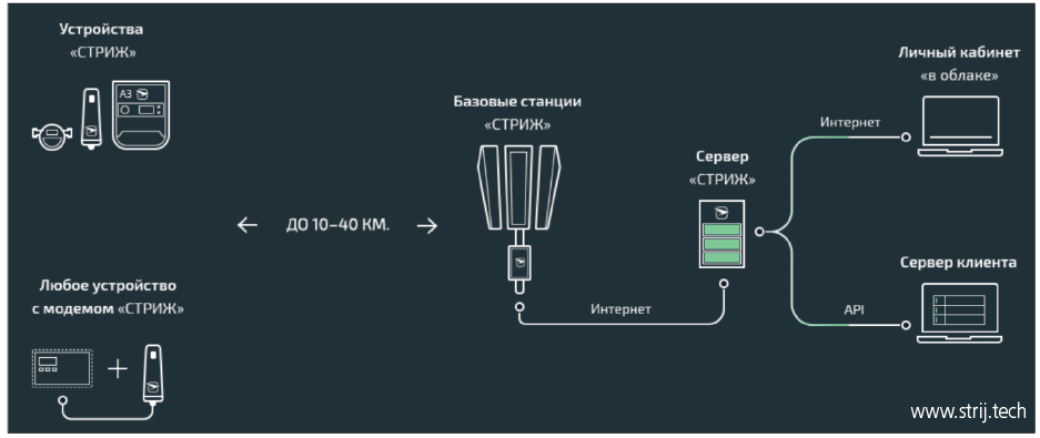 рис (101)