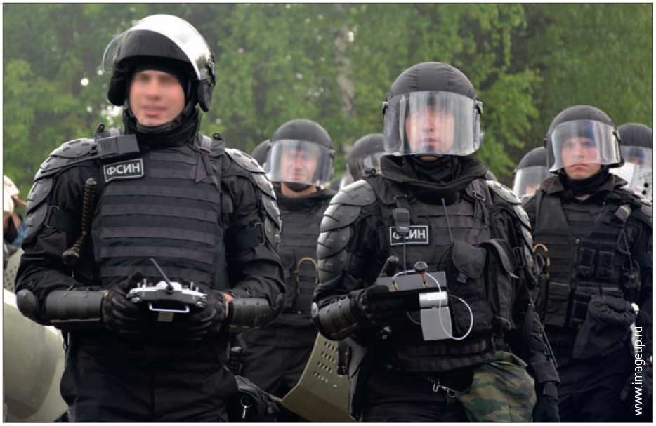 рис1 (14)