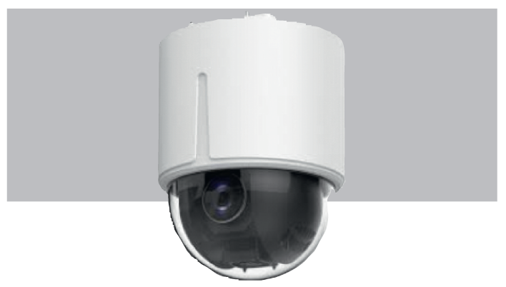 DS-2DE5225W-AE3 (T5)