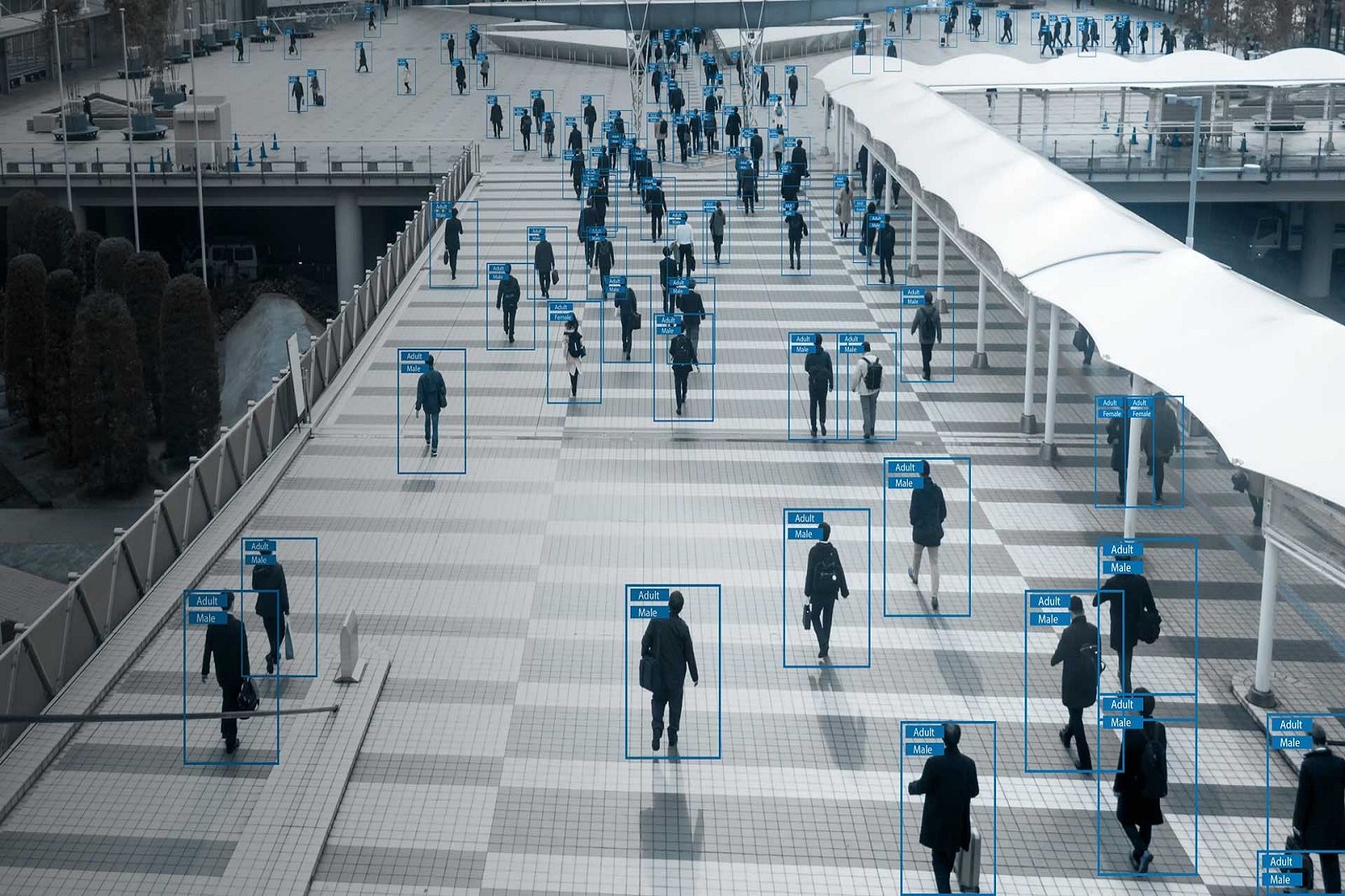 People-Counting-Software