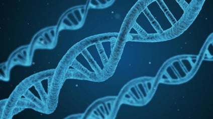 gene