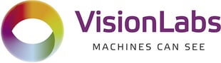 VisionLabs