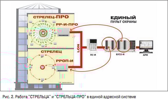 ris-2