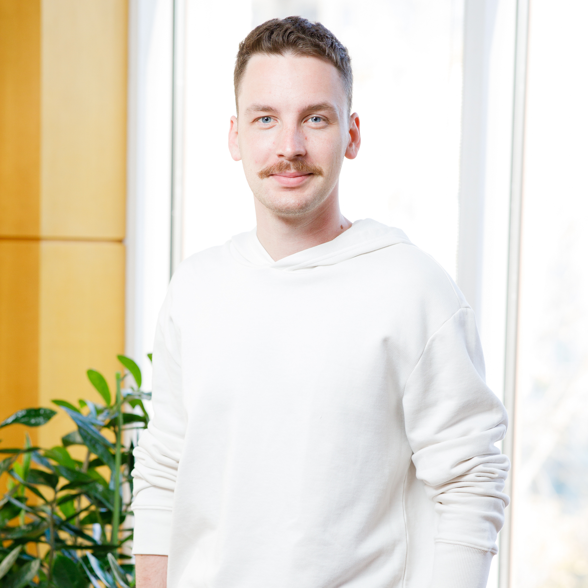 Дмитрий Лапин, Металлоинвест