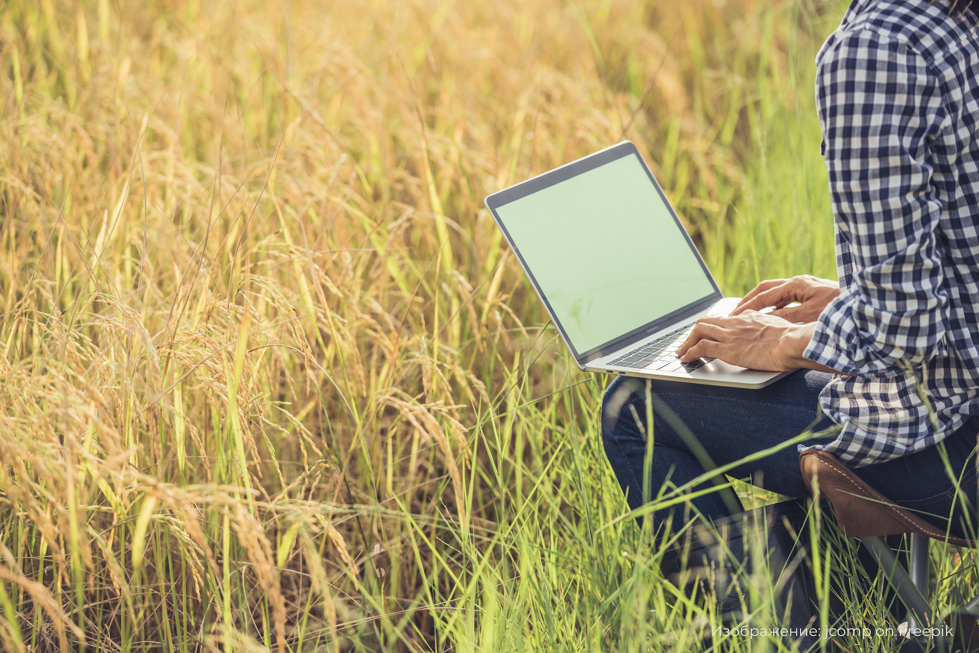 AgroTech: интеллектуальные технологии в сельском хозяйстве. Управление предприятием АПК и автоматизация бизнес-процессов