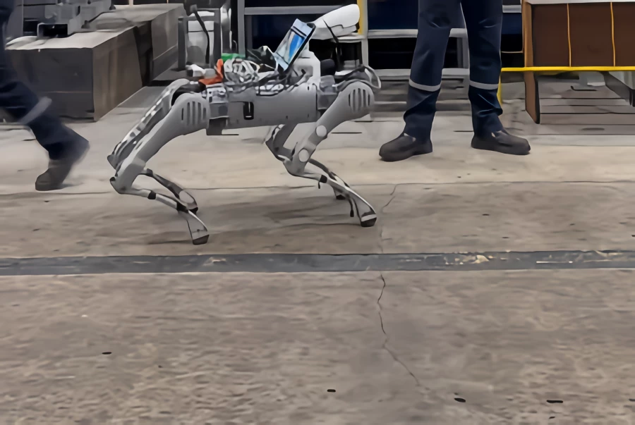 робособака