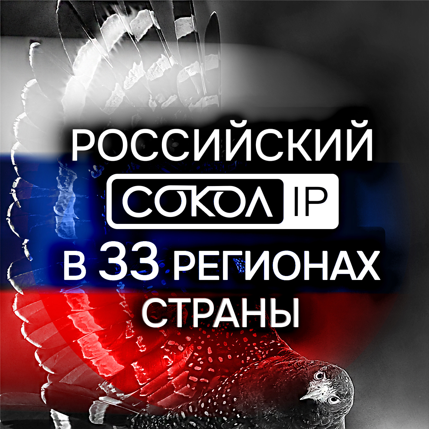 АйТек ПРО СОКОЛ
