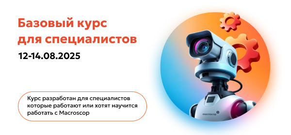 Macroscop